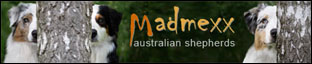 Medmaxx Australian Shepherds